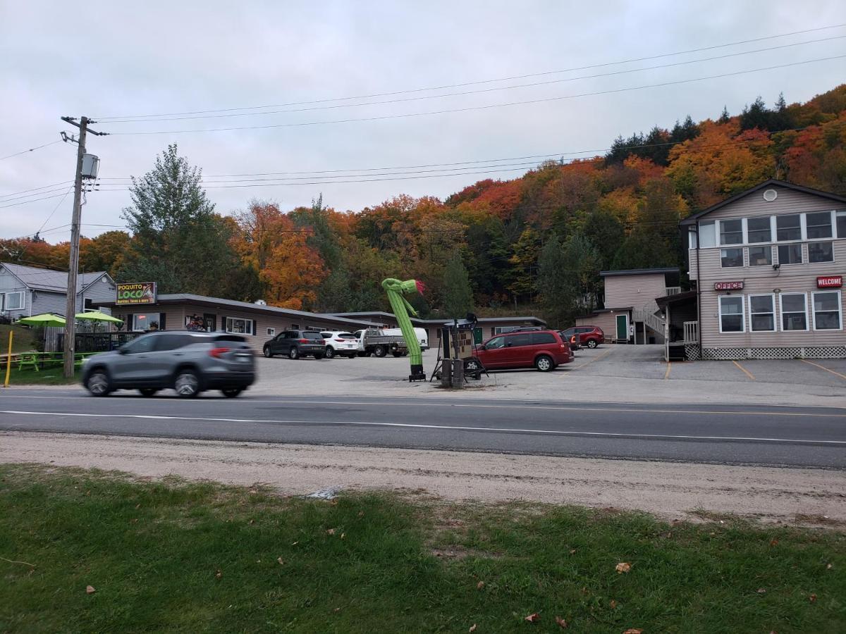 Silver Maple Hotel 3*